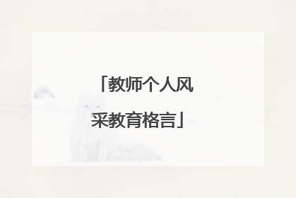 教师个人风采教育格言