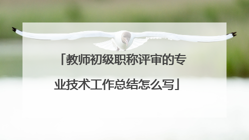 教师初级职称评审的专业技术工作总结怎么写