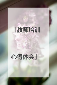 教师培训心得体会