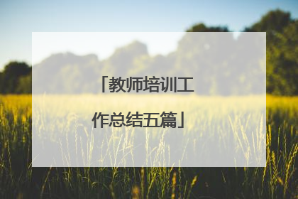教师培训工作总结五篇