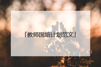 教师国培计划范文
