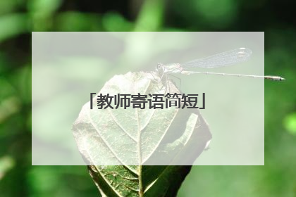 教师寄语简短