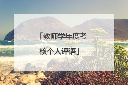 教师学年度考核个人评语
