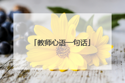教师心语一句话