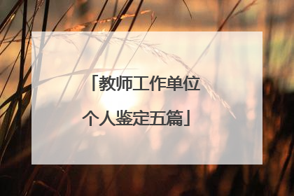 教师工作单位个人鉴定五篇