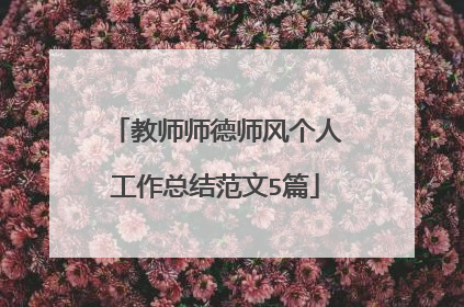 教师师德师风个人工作总结范文5篇