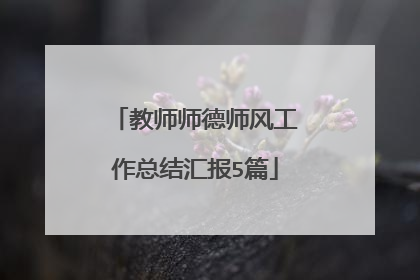 教师师德师风工作总结汇报5篇