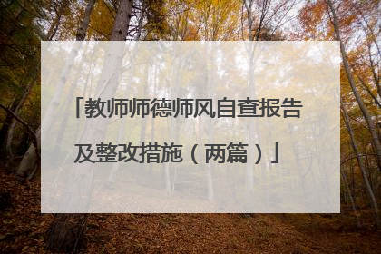 教师师德师风自查报告及整改措施（两篇）