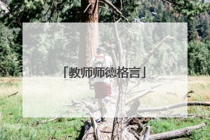 教师师德格言