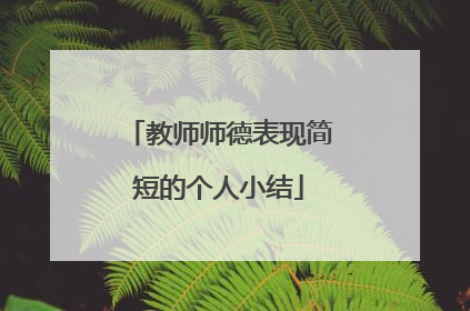 教师师德表现简短的个人小结