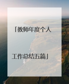 教师年度个人工作总结五篇