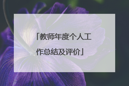 教师年度个人工作总结及评价