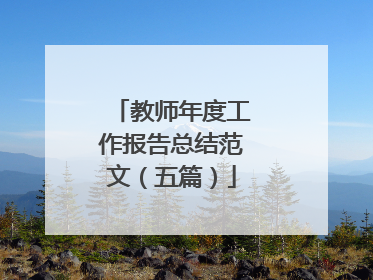 教师年度工作报告总结范文（五篇）