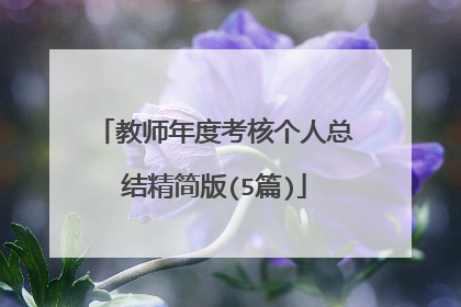 教师年度考核个人总结精简版(5篇)