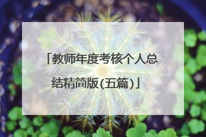 教师年度考核个人总结精简版(五篇)