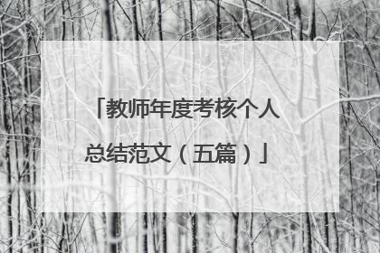 教师年度考核个人总结范文(五篇)