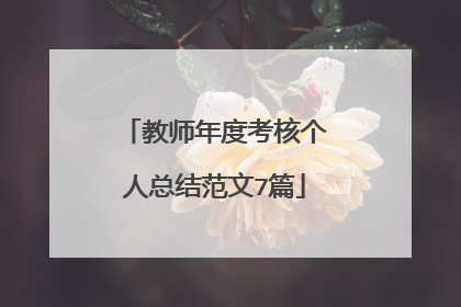 教师年度考核个人总结范文7篇