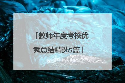 教师年度考核优秀总结精选5篇