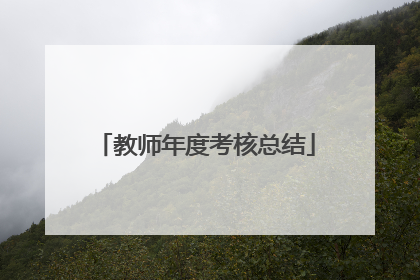 教师年度考核总结