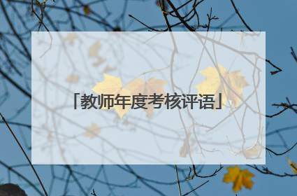 教师年度考核评语