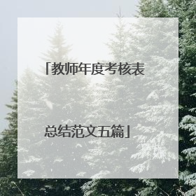 教师年度考核表总结范文五篇