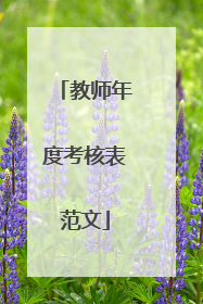 教师年度考核表范文