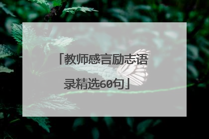 教师感言励志语录精选60句