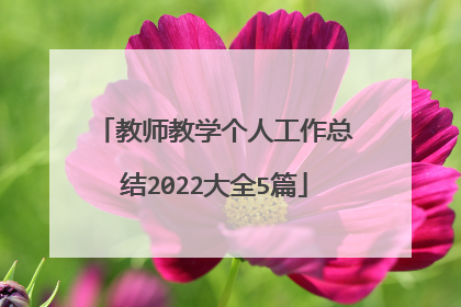 教师教学个人工作总结2022大全5篇