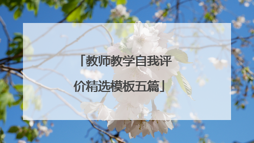 教师教学自我评价精选模板五篇