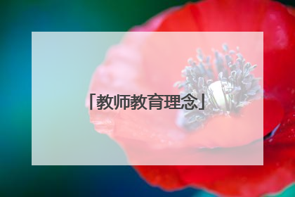 教师教育理念