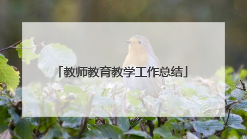 教师教育教学工作总结