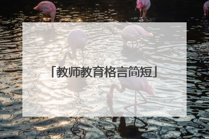 教师教育格言简短