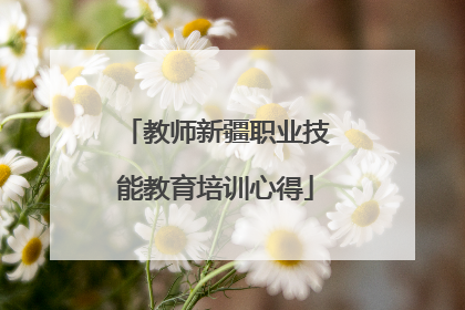 教师新疆职业技能教育培训心得