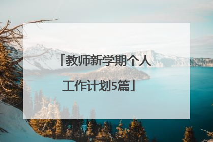 教师新学期个人工作计划5篇