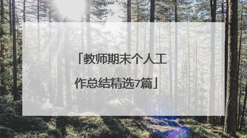 教师期末个人工作总结精选7篇
