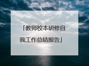 教师校本研修自我工作总结报告