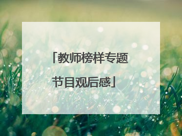 教师榜样专题节目观后感
