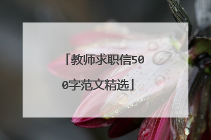 教师求职信500字范文精选