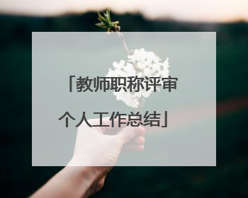 教师职称评审个人工作总结