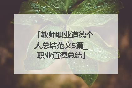 教师职业道德个人总结范文5篇_职业道德总结