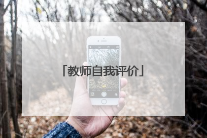 教师自我评价