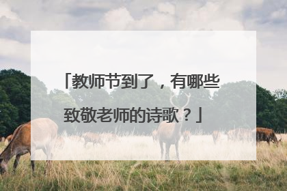 教师节到了,有哪些致敬老师的诗歌?