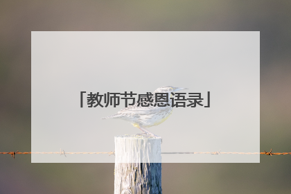 教师节感恩语录