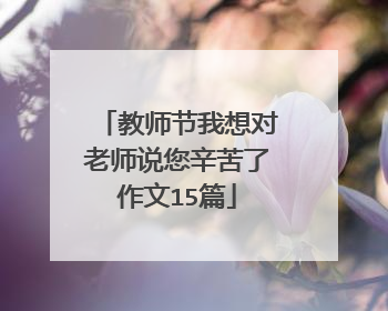 教师节我想对老师说您辛苦了作文15篇