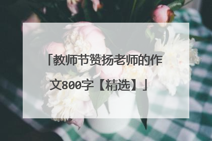 教师节赞扬老师的作文800字【精选】