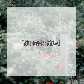 教师评语简短
