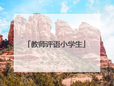 教师评语小学生