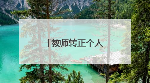 教师转正个人工作总结范文例文2020