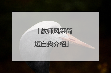 教师风采简短自我介绍