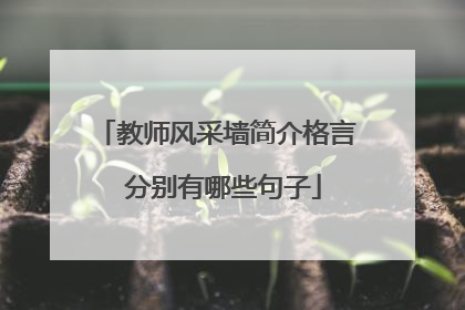 教师风采墙简介格言 分别有哪些句子
